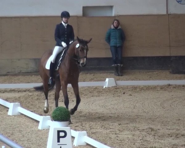 Reitturnier München-Riem 2017