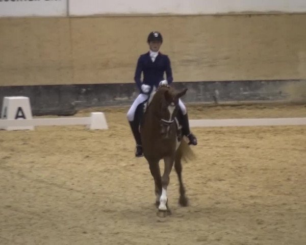 Reitturnier München-Riem 2017
