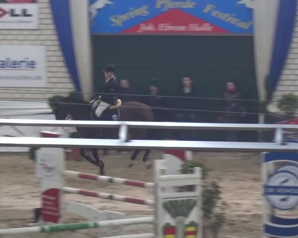 Spring-Pferde-Festival Lathen 2017