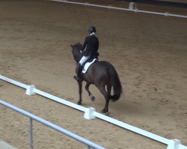 Reitturnier München-Riem 2017