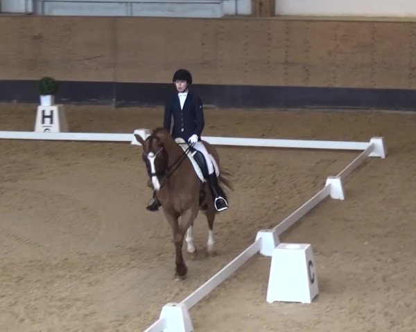 Reitturnier München-Riem 2017