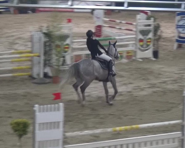 Spring-Pferde-Festival Lathen 2017