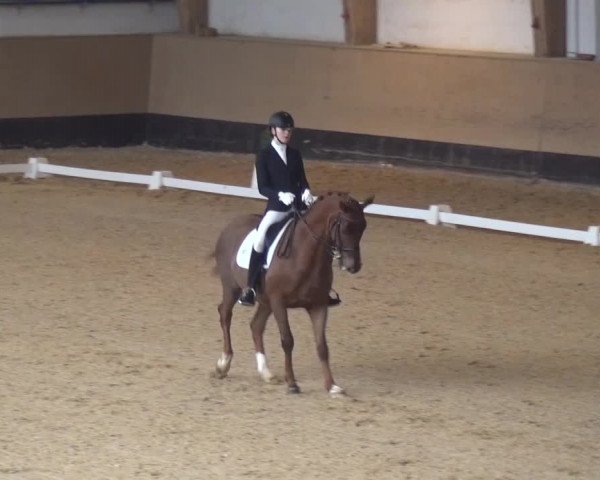 Reitturnier München-Riem 2017