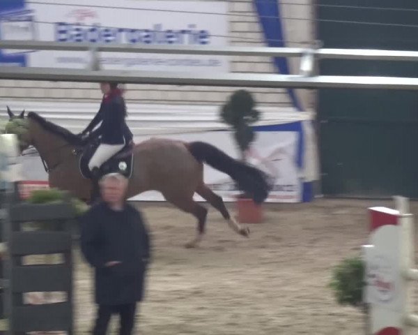 Spring-Pferde-Festival Lathen 2017