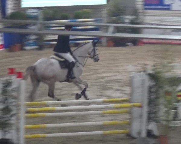 Spring-Pferde-Festival Lathen 2017