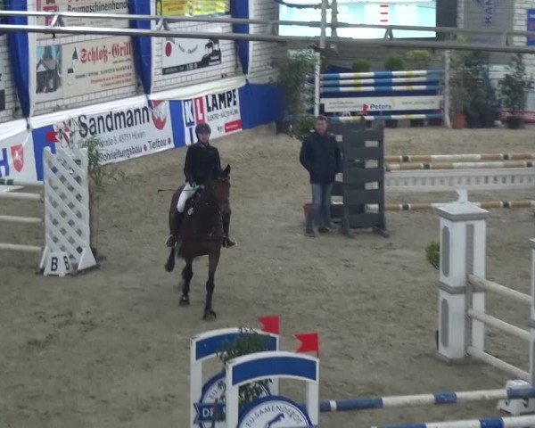 Spring-Pferde-Festival Lathen 2017