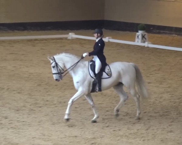 Reitturnier München-Riem 2017