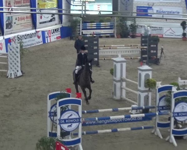 Spring-Pferde-Festival Lathen 2017