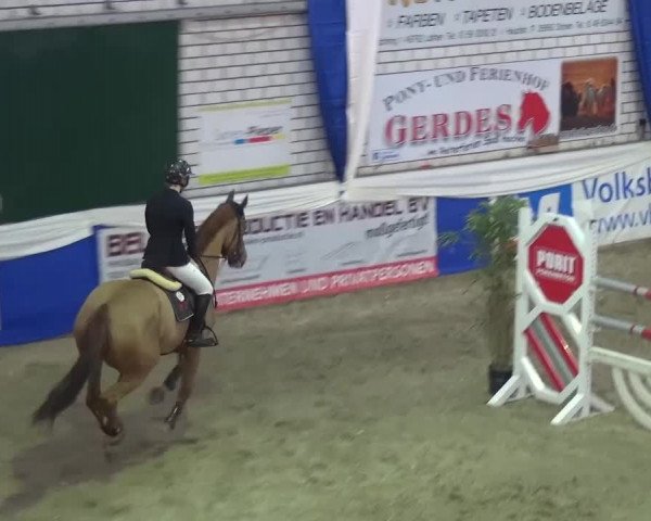 Spring-Pferde-Festival Lathen 2017