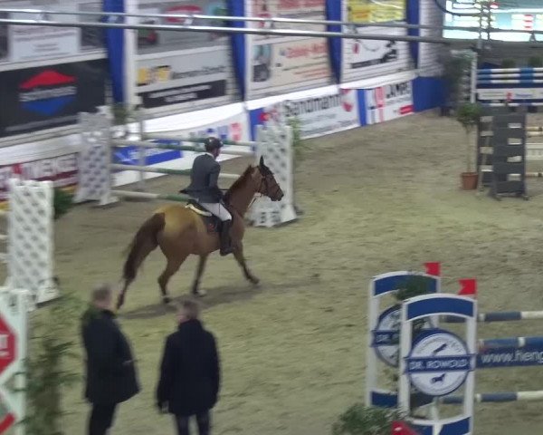 Spring-Pferde-Festival Lathen 2017