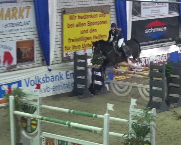 Spring-Pferde-Festival Lathen 2017