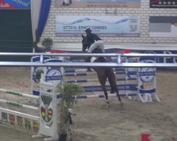 Spring-Pferde-Festival Lathen 2017