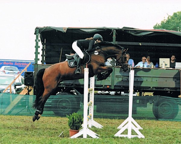 Springpferd Cavallano (Holsteiner, 2008, von Cormint)