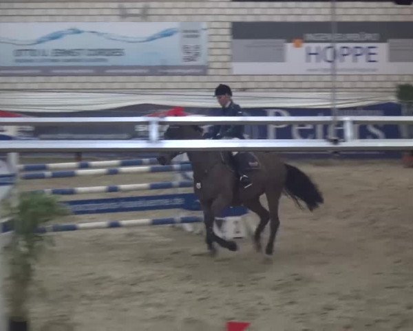 Spring-Pferde-Festival Lathen 2017