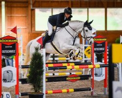 jumper Dorludine (KWPN (Royal Dutch Sporthorse), 2008, from Zirocco Blue)
