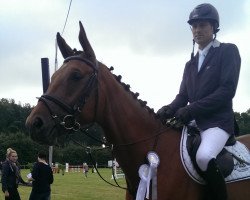 jumper Cordasino (Westphalian, 2010, from Z7 Cordanos V)