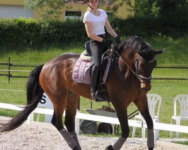 broodmare Raffinesse (Rhinelander, 2005, from Riccione)