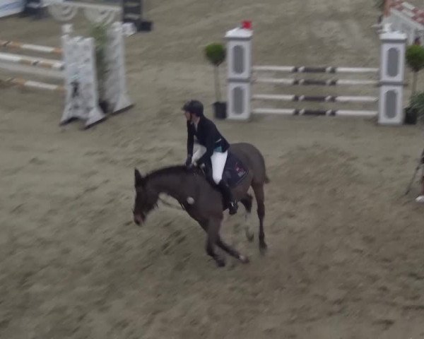 Spring-Pferde-Festival Lathen 2017