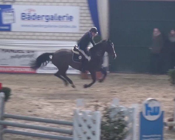 Spring-Pferde-Festival Lathen 2017