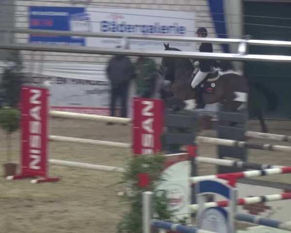 Spring-Pferde-Festival Lathen 2017