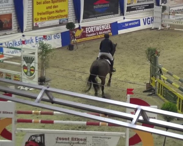 Spring-Pferde-Festival Lathen 2017