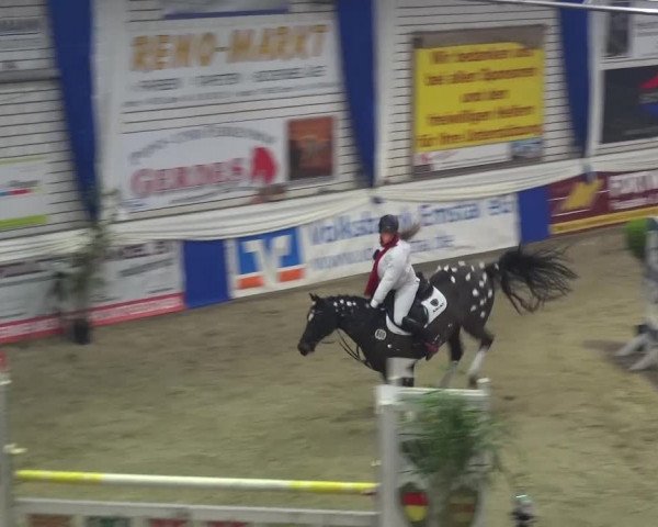Spring-Pferde-Festival Lathen 2017