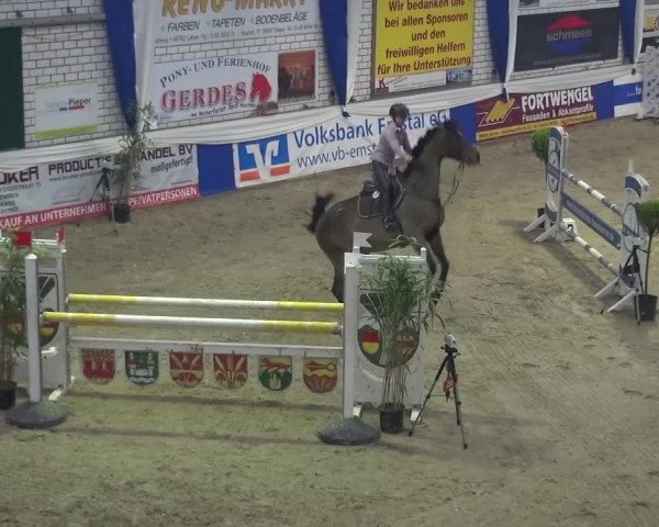 Spring-Pferde-Festival Lathen 2017