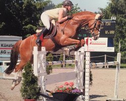 broodmare Aquila B CH (Swiss Warmblood, 2004, from Aqua Minerale KZI)