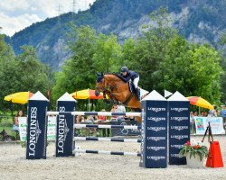 Springpferd Fantast II (Belgisches Warmblut, 2005, von Muscaris D'Ariel)