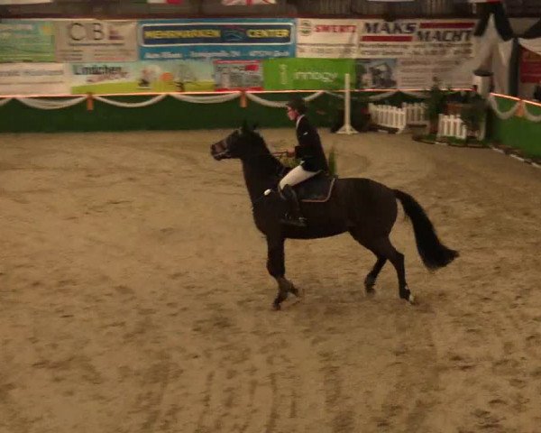 Keppelner Springfestival 2017 - Reitanlage "Hötzenhof"
