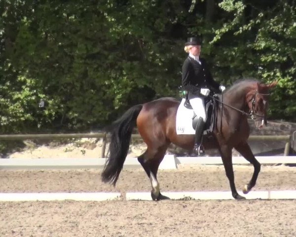 Reitturnier Würselen-Pley 2016