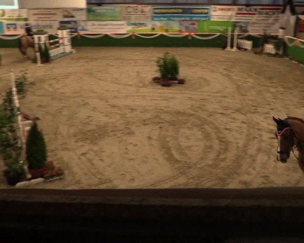 Keppelner Springfestival 2017 - Reitanlage "Hötzenhof"