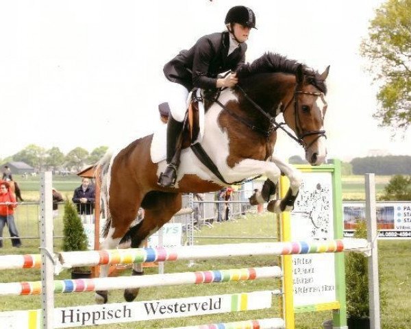 broodmare Bokarla (Nederlands Rijpaarden en Pony, 1996, from Ed King Hill)