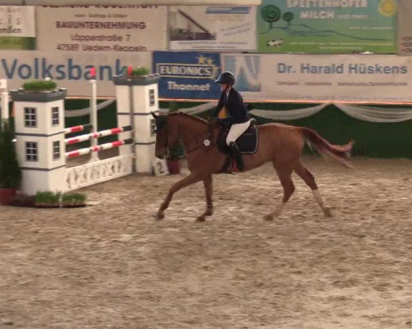 Keppelner Springfestival 2017 - Reitanlage "Hötzenhof"