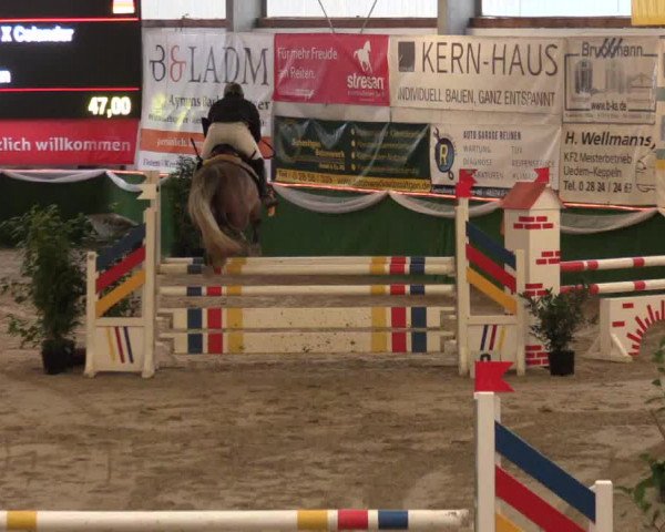 Keppelner Springfestival 2017 - Reitanlage "Hötzenhof"