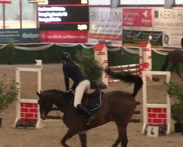 Keppelner Springfestival 2017 - Reitanlage "Hötzenhof"