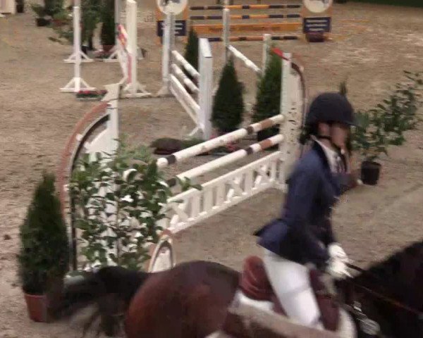 Keppelner Springfestival 2017 - Reitanlage "Hötzenhof"