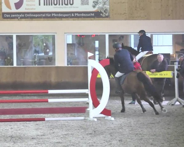 Reitturnier Dettingen 2017 Spring Late Entry