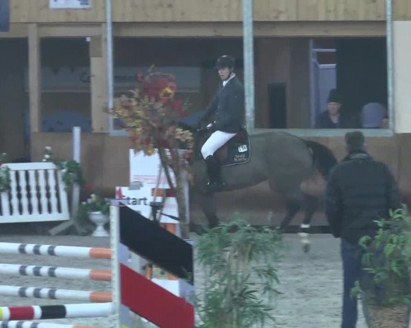 Reitturnier Dettingen 2017 Spring Late Entry