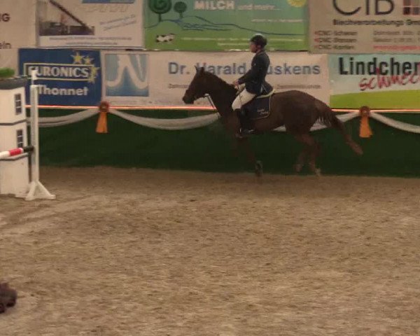 Keppelner Springfestival 2017 - Reitanlage "Hötzenhof"