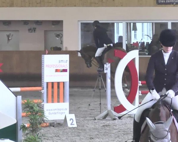 Reitturnier Dettingen 2017 Spring Late Entry