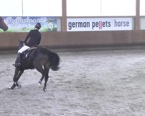 Reitturnier Dettingen 2017 Spring Late Entry