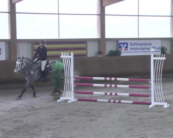 Reitturnier Dettingen 2017 Spring Late Entry