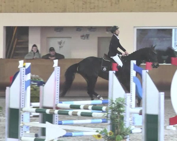 Reitturnier Dettingen 2017 Spring Late Entry