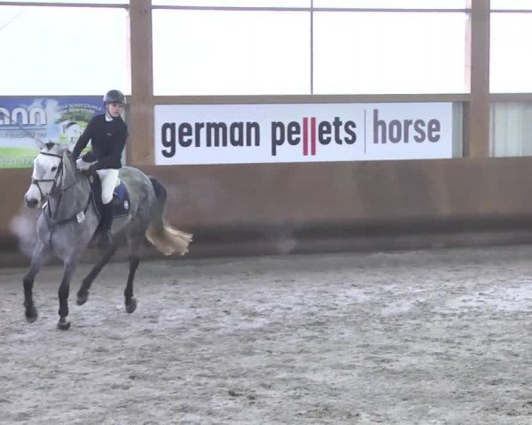 Reitturnier Dettingen 2017 Spring Late Entry