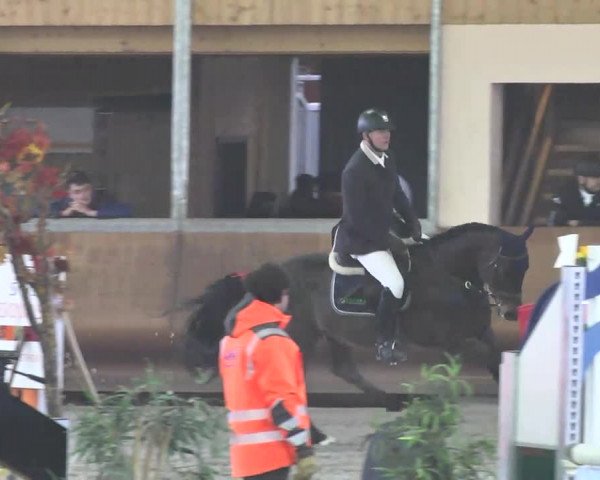 Reitturnier Dettingen 2017 Spring Late Entry