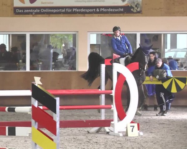 Reitturnier Dettingen 2017 Spring Late Entry
