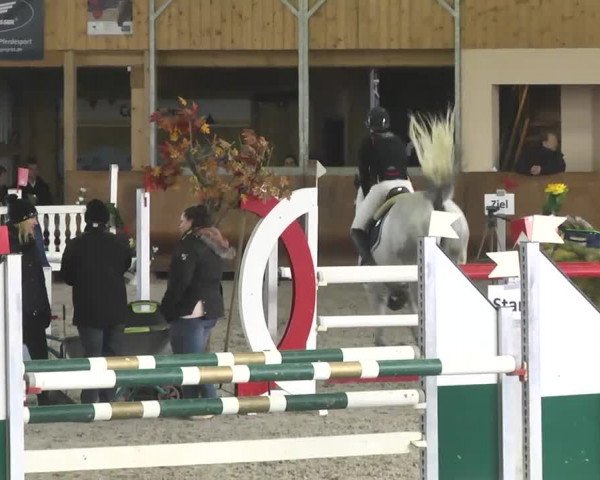Reitturnier Dettingen 2017 Spring Late Entry