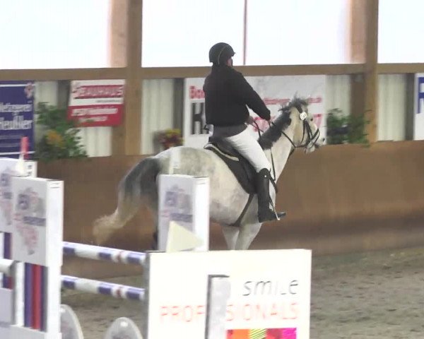 Reitturnier Dettingen 2017 Spring Late Entry