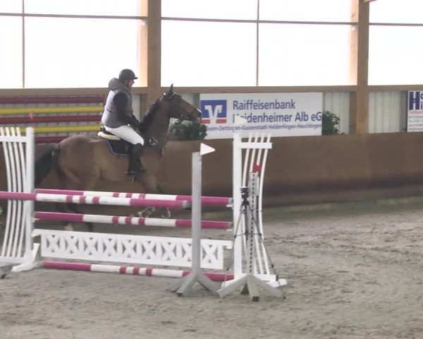 Reitturnier Dettingen 2017 Spring Late Entry